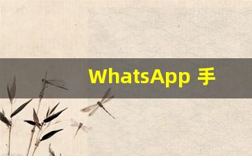 WhatsApp 手机加好友